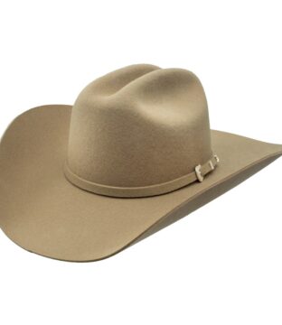 Stetson 3X Oak Ridge Stone Wool Felt Cowboy Hat SWOAKR-724020