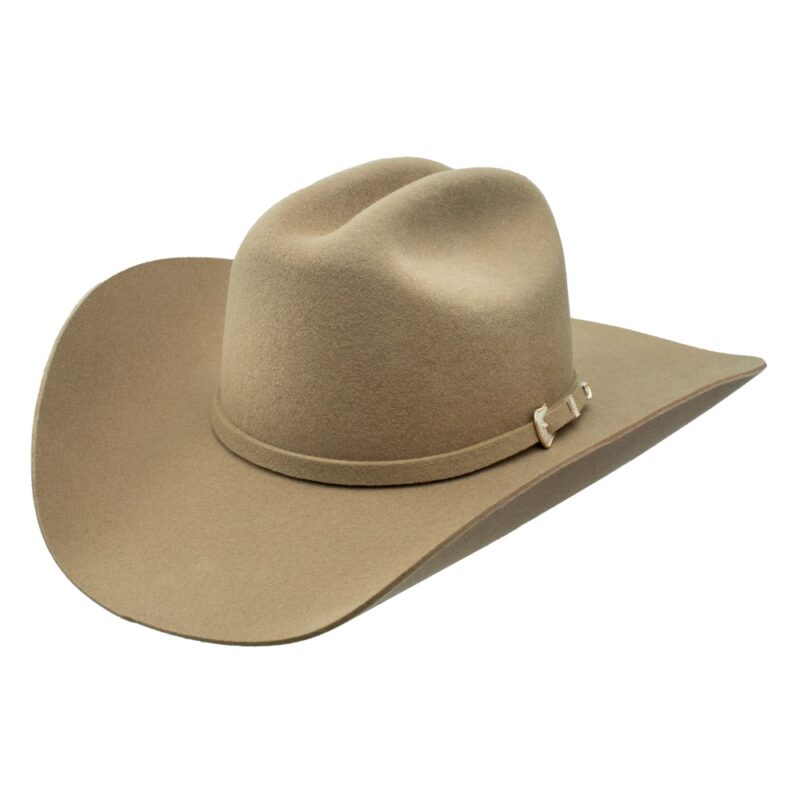 Stetson 3X Oak Ridge Stone Wool Felt Cowboy Hat SWOAKR-724020