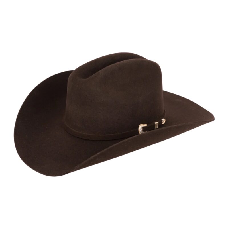 Stetson 3X Oak Ridge Chocolate Wool Felt Cowboy Hat SWOAKR-724022